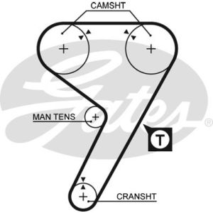 Cam / Timing Belt