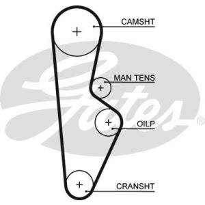 Cam / Timing Belt