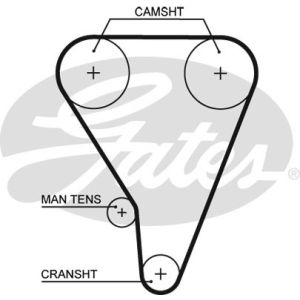 Cam / Timing Belt