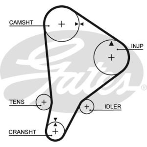 Cam / Timing Belt