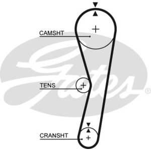 Cam / Timing Belt