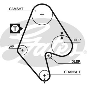 Cam / Timing Belt