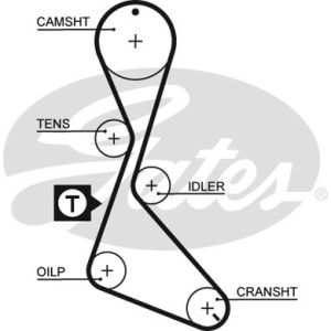 Cam / Timing Belt