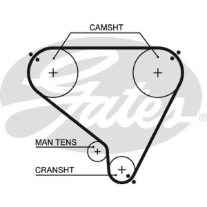 Cam / Timing Belt