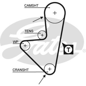 Cam / Timing Belt