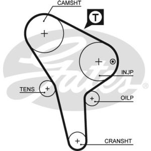 Cam / Timing Belt