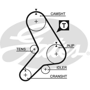 Cam / Timing Belt