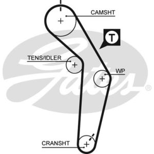 Cam / Timing Belt