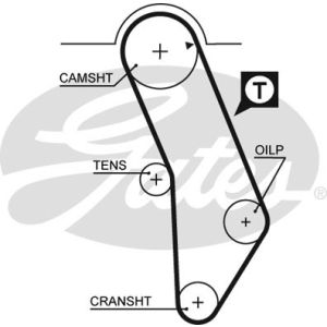 Cam / Timing Belt