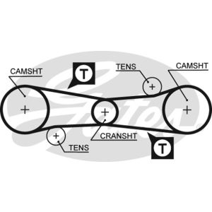 Cam / Timing Belt