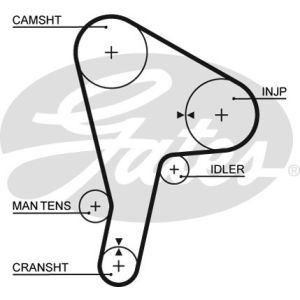 Cam / Timing Belt