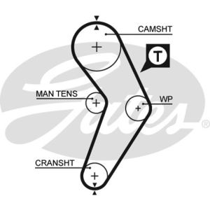 Cam / Timing Belt