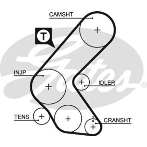 Cam / Timing Belt