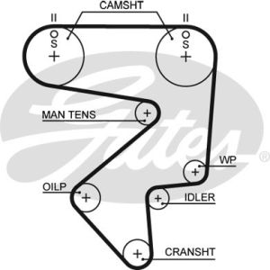 Cam / Timing Belt