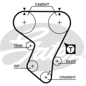 Cam / Timing Belt