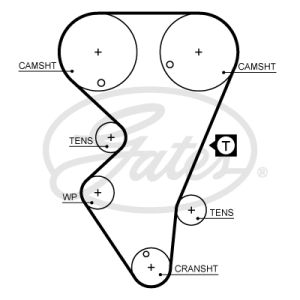 Cam / Timing Belt