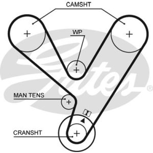 Cam / Timing Belt