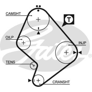 Cam / Timing Belt