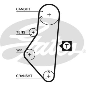 Cam / Timing Belt