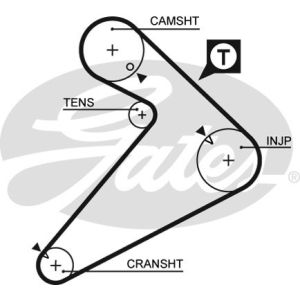 Cam / Timing Belt