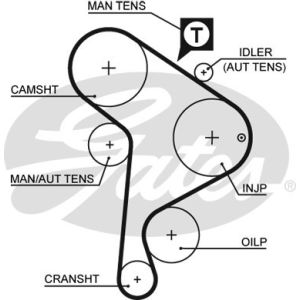 Cam / Timing Belt