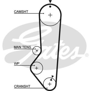 Cam / Timing Belt