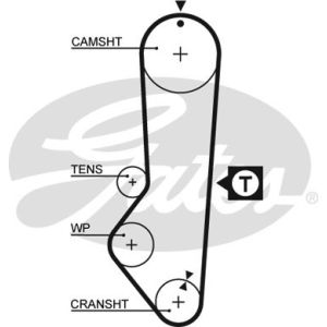 Cam / Timing Belt