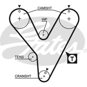 Cam / Timing Belt