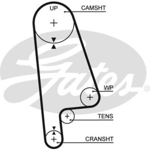 Cam / Timing Belt