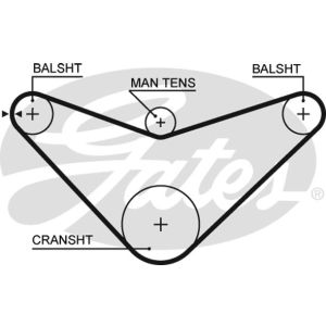 Cam / Timing Belt