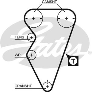 Cam / Timing Belt