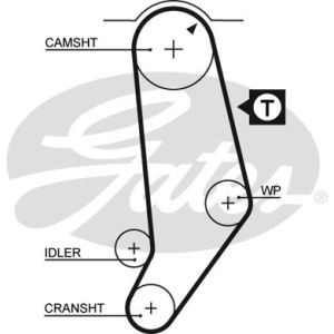 Cam / Timing Belt