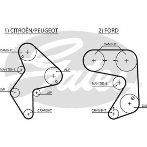 Cam / Timing Belt