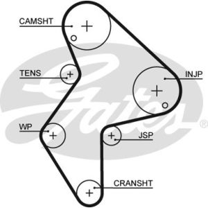 Cam / Timing Belt