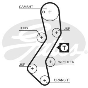 Cam / Timing Belt