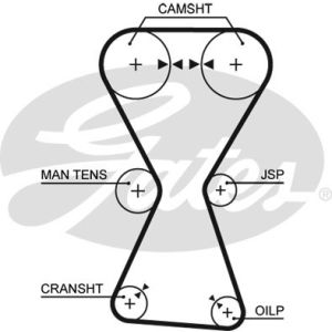 Cam / Timing Belt