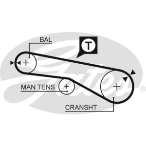 Cam / Timing Belt