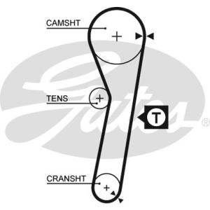 Cam / Timing Belt