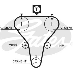 Cam / Timing Belt