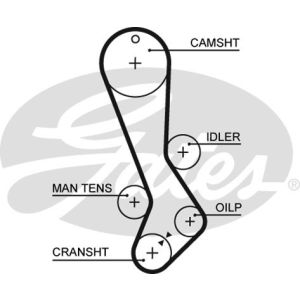 Cam / Timing Belt