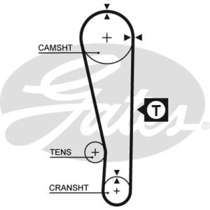 Cam / Timing Belt