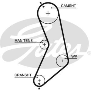 Cam / Timing Belt