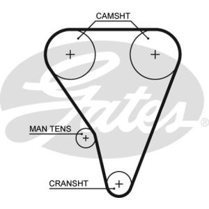 Cam / Timing Belt