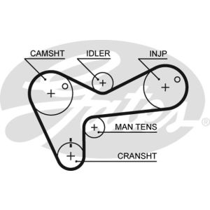 Cam / Timing Belt