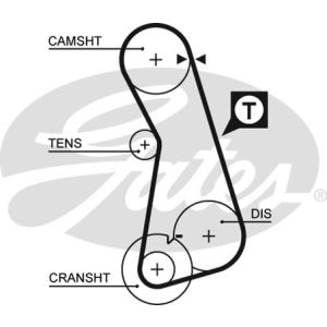 Cam / Timing Belt