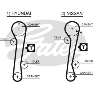 Cam / Timing Belt