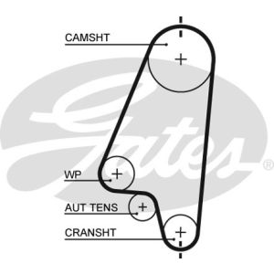 Cam / Timing Belt