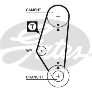 Cam / Timing Belt