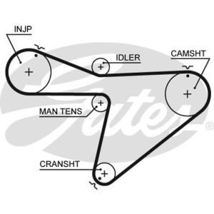 Cam / Timing Belt