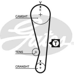 Cam / Timing Belt